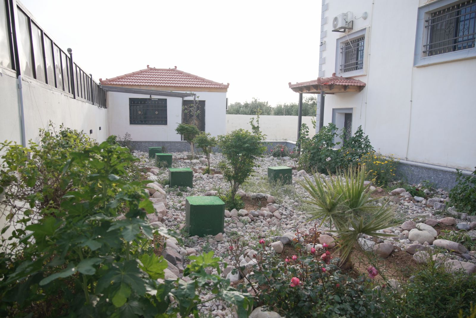 صورة 10
